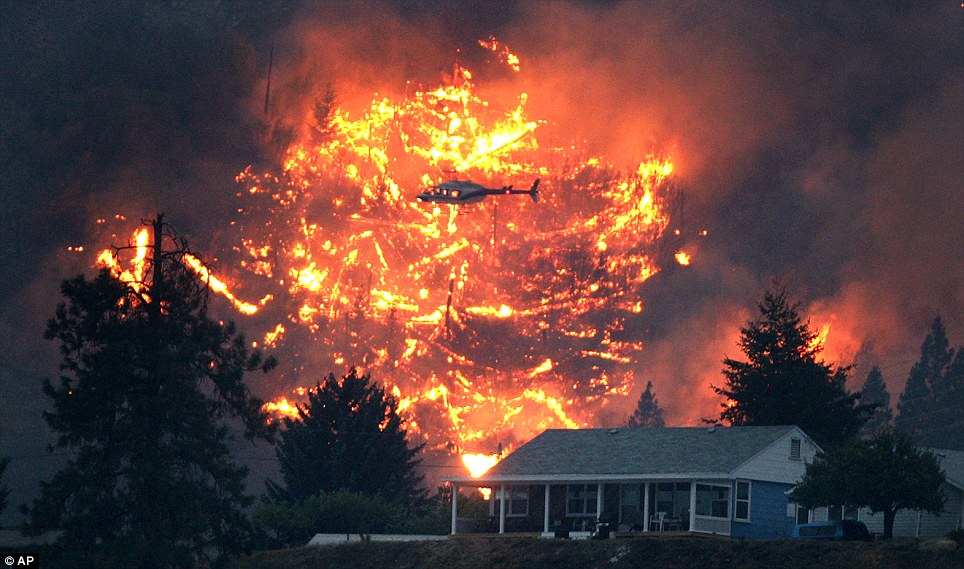 Fire protection vegetation management