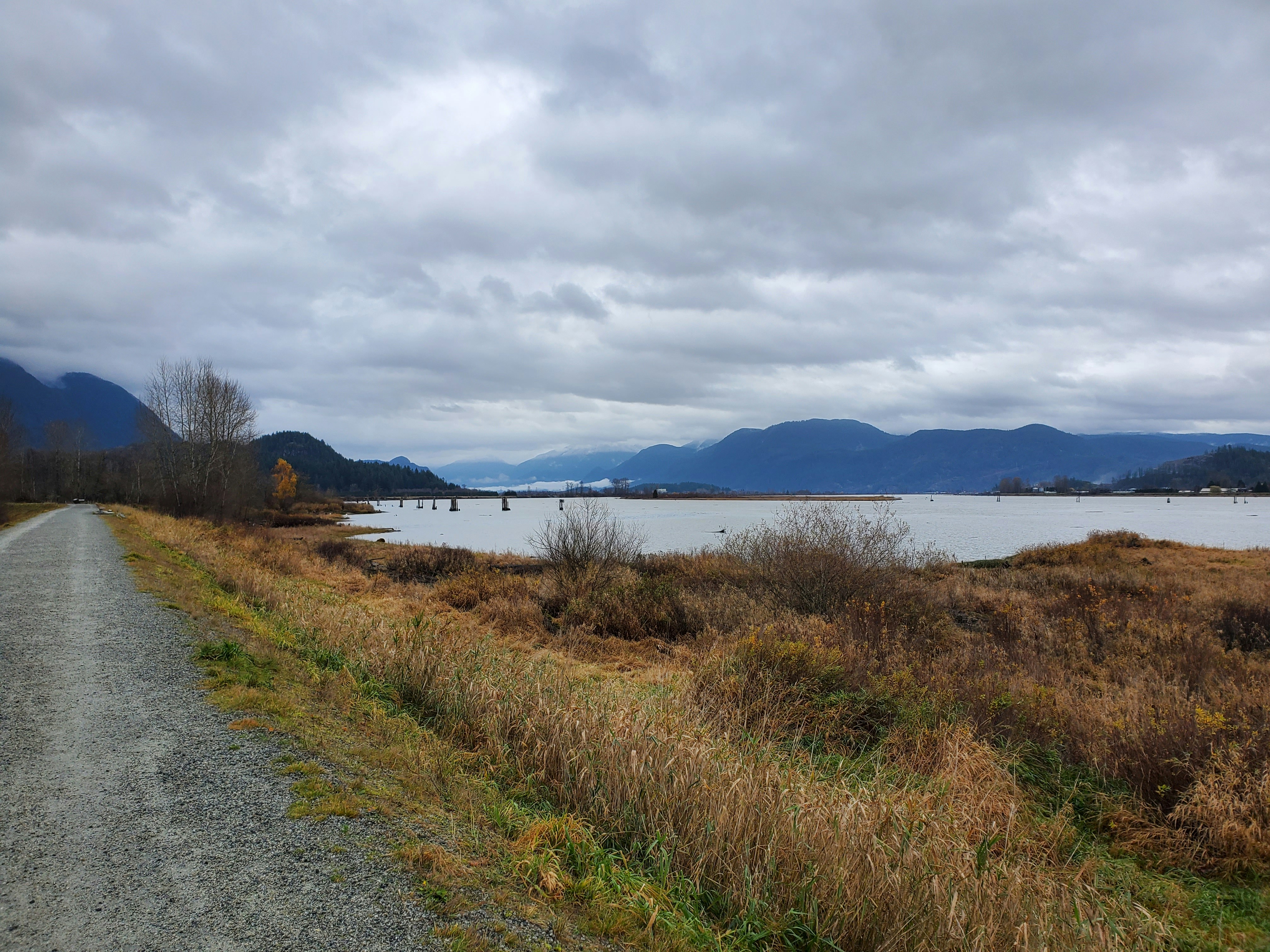 Chilliwack landscape
